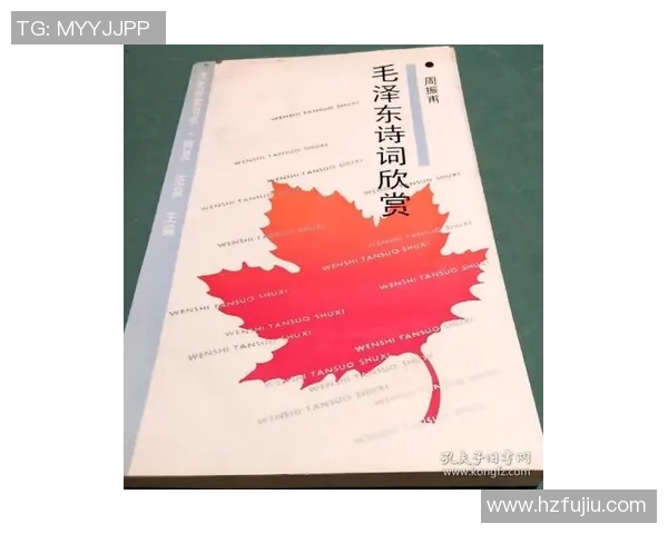 成都网球队快攻战术解析与实战应用研究