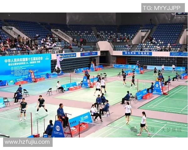 羽毛球的魅力与挑战：深入解析南京羽毛球队的个人技术与战术能力