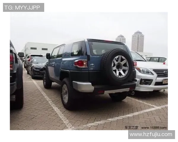 上海排球队在洲际杯积分榜上以61分稳居第一名展现强劲实力